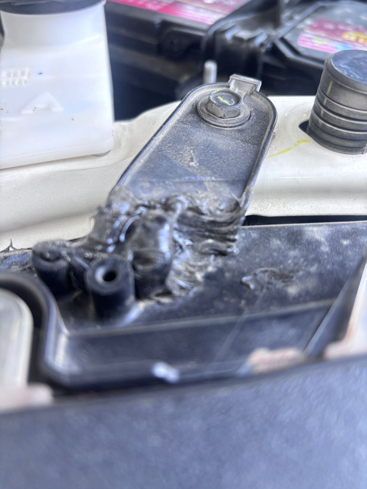 فحص البودي بدون الشاص