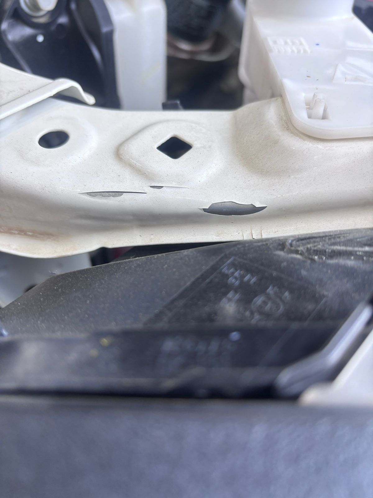 فص دينا شامل